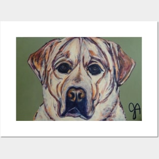 yellow lab face closeup Posters and Art
